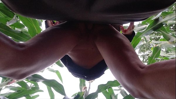 risky publicnature fuckin a cornfield - projectfundiary