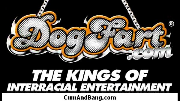 Nice ebony fucked by several white guys in all holes 16