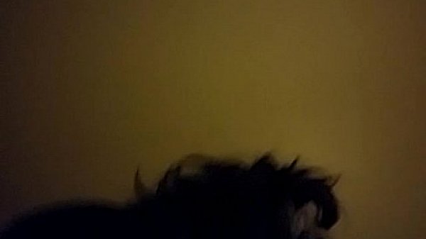 Nonton Studio 6, Makin Love 2 The Bbc 1 thumbnail