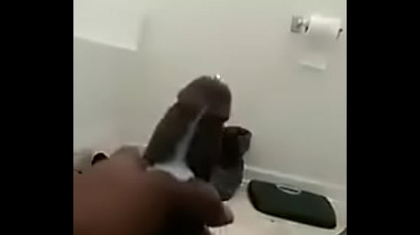 268519091 37676 43857536007 3333672 