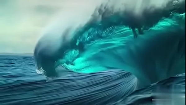 验证视频