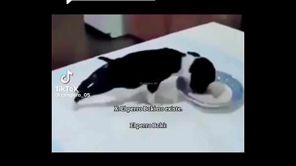 Nonton Insanidad thumbnail