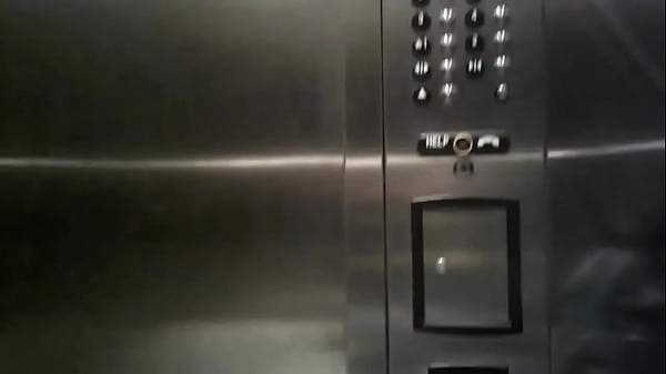 Natty Daddy Crosses America  