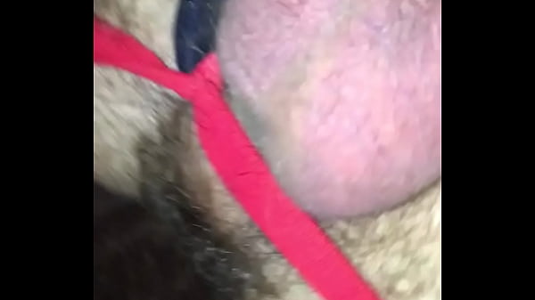 breeding Pupatticus AtticusStoneXXX