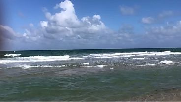 THE OCEAN DOING AMAZING THINGS