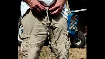 Piss in the farmyard