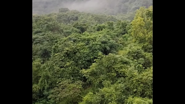 Goa