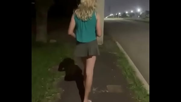 Uma provocadinha b&aacute;sica no passeio a noite pelas rua de curitiba com femeazinhacd