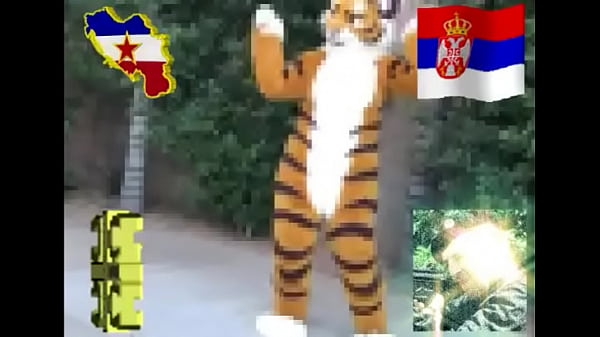 Super Nice Tiger thumbnail