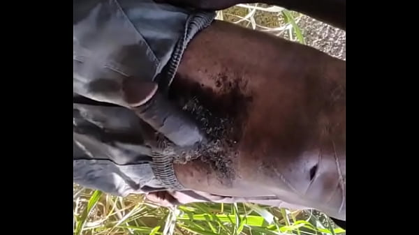 Sexo, punheta, mato desconhecido