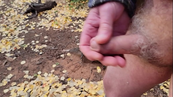 I Jerk My Cock And Cum In The Woods 1027 1 