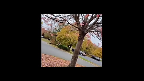 A blog about every other remake of songs that have the first time we made love lyrics while listening to older ones of them for free and for fun 