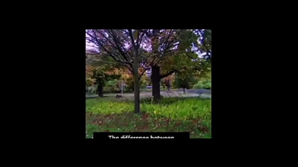 A blog about every other remake of songs that have the first time we made love lyrics while listening to older ones of them for free and for fun 