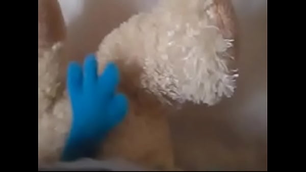 Rien n'est jamais trop doux 