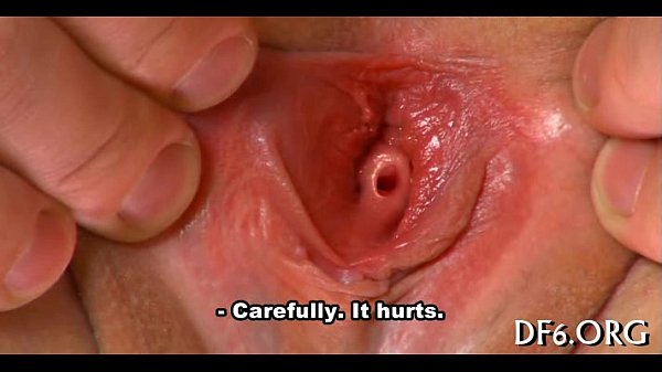 xv-090ad09f5ee54da8ad8bb5f798eb9caa