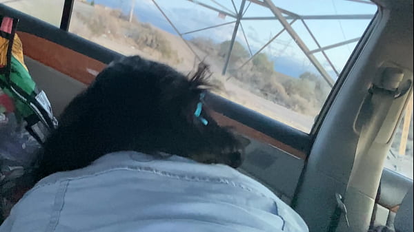 Petite classmate wanted to study