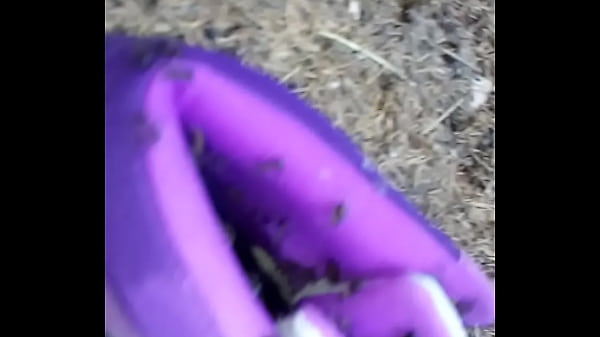 Adidas versus mravency 2 