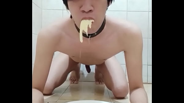 FagTeetajet Thai Gay Drinking piss and Piss on bread and eat it. 