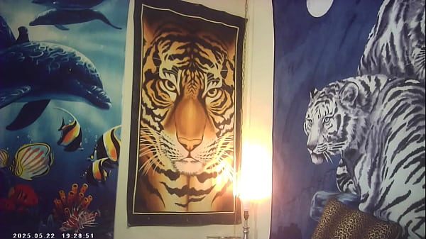 Pussyfucking xxx sex