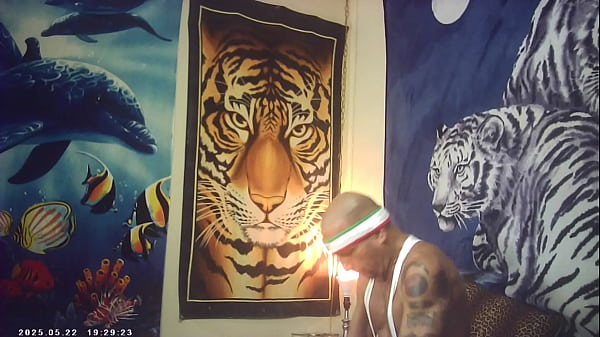 PUSSYFUCKING XXX SEX 