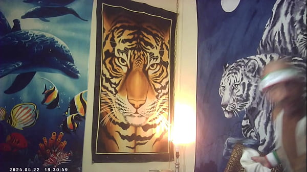 Pussyfucking xxx sex