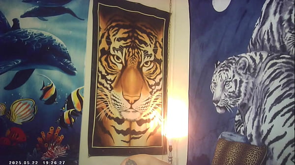 PUSSYFUCKING XXX SEX 