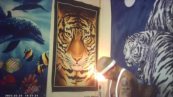 Pussyfucking xxx sex