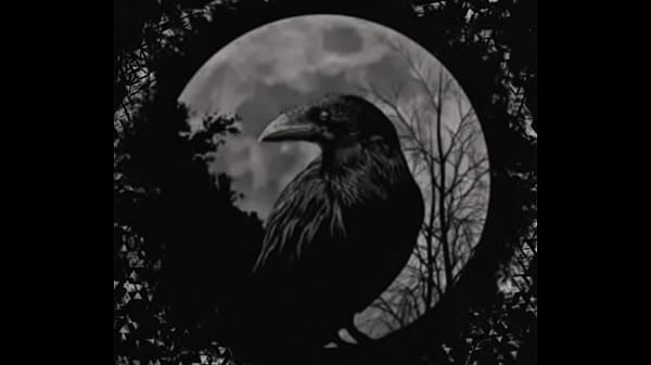 Nonton Joven Mexicano Le Mete Tremenda Cogida Al Beat Y Salva Al Trap Mexicano thumbnail