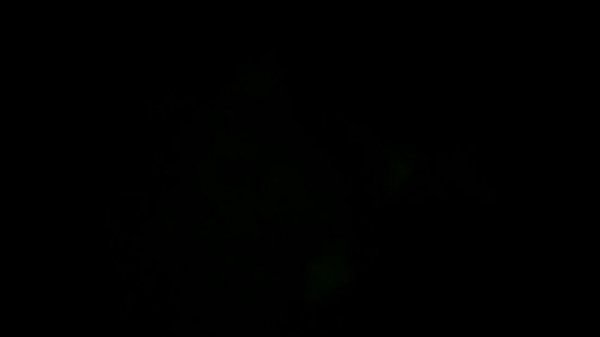 Nonton Trim.bc3d76bf-68e8-4262-addd-366f85d3cbe9.mov thumbnail