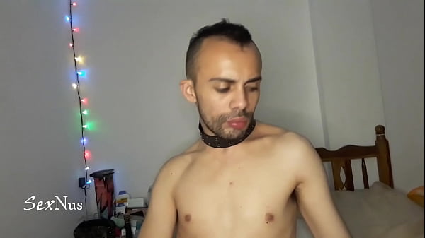 Calientes dientes masticando comida 