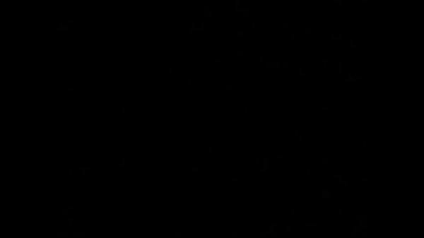 My best friend's mom