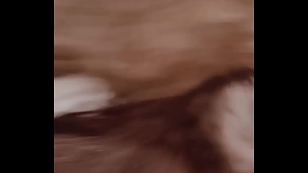 验证视频