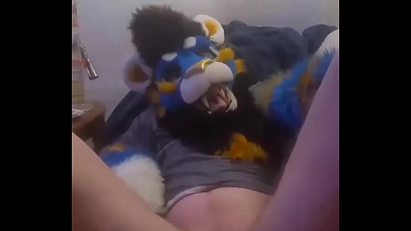Furry bottom sex with boyfriend -twitter JavaRaccoonAD 