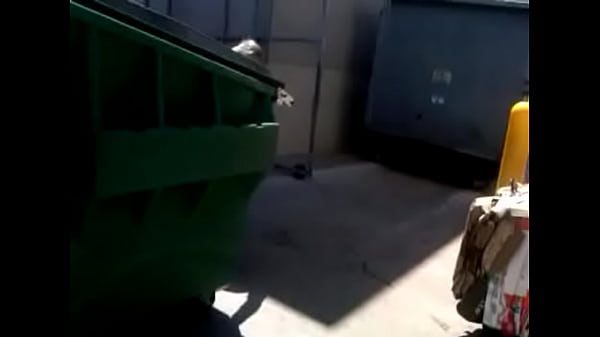 VID 00003-20100512-1147.3GP 