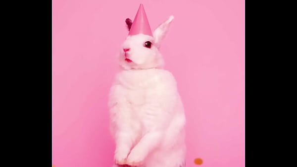 Nonton 【《简称乐园》字母群】您的小动物已上线！来自bdsm字母圈的情人节祝福 thumbnail