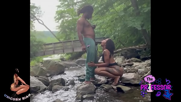 Unicorn Trail With The Professor 3x thumbnail