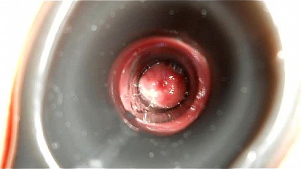 Jyosoukofujiko embarrassing bondage play 