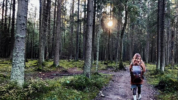 Play MP4 - Get lost in Wonderlands