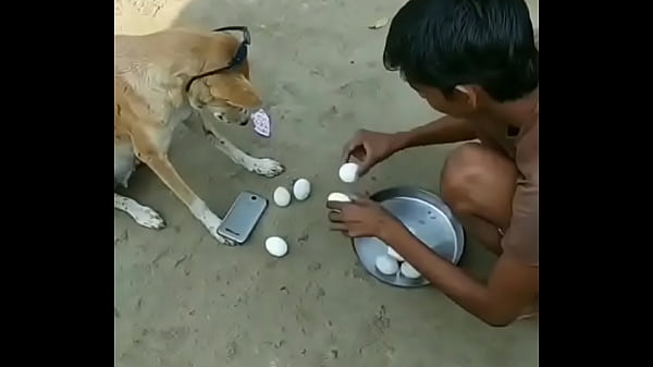 Dog style