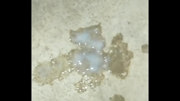 Play MP4 - ലോക്ക്ഡൗൺ കാലത്ത് പുറത്തുപോയി വാണമടിക്കുന്ന മലയാളി പയ്യൻ