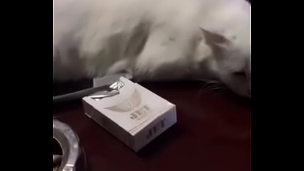 Video x&aacute_c minh