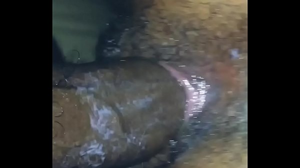 Black dick fucks tight_black pussy