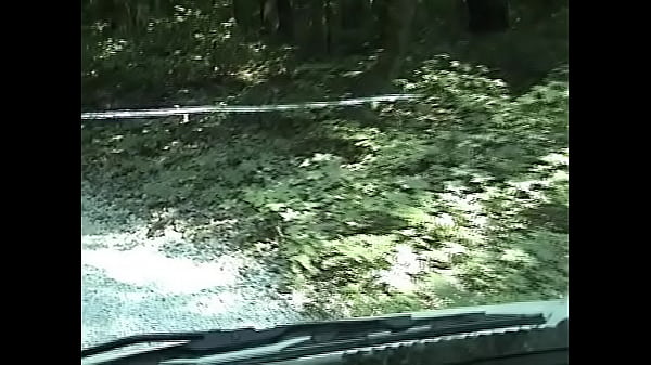 Play MP4 - AM 1613 03