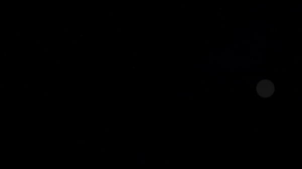 Nonton Sofia's Anal Veggie Training (with Additional Anal Fisting) thumbnail