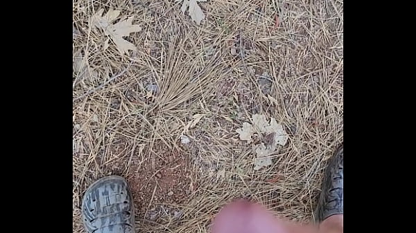 Play MP4 - Cum in the woods