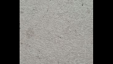 Video de v&eacute;rification 