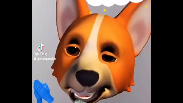 Nonton Spam thumbnail