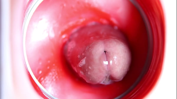 Camera inside the pussy Thewettestand tastiest hole with_a big dick inside