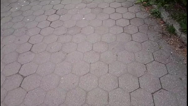 Exploring East_river drive Harlem