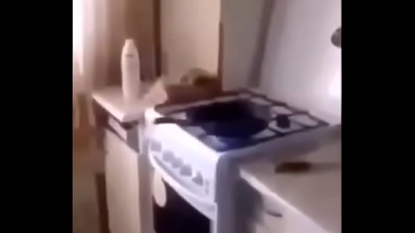 Stove